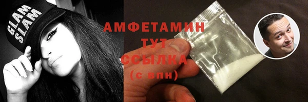шишки Белокуриха
