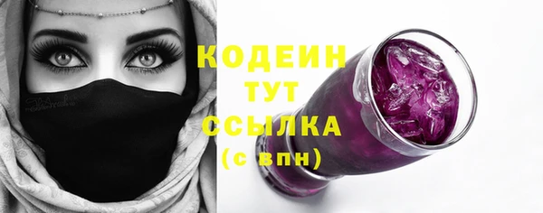 шишки Белокуриха