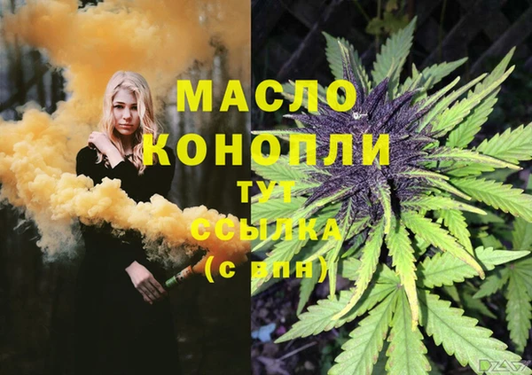 шишки Белокуриха