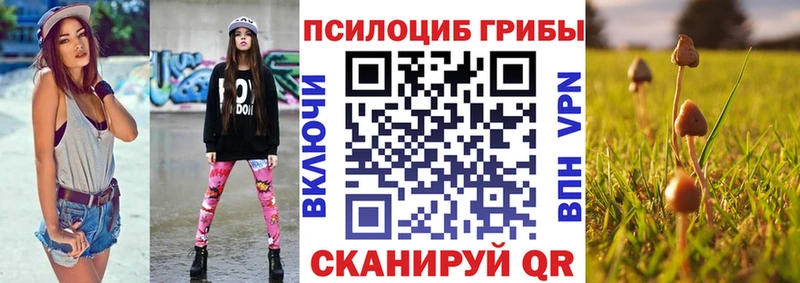 Купить закладки Кемь Галлюциногенные грибы MAGIC MUSHROOMS